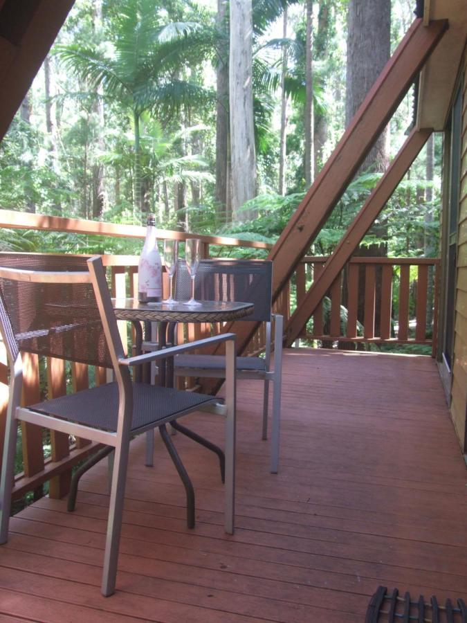 Springbrook Mountain Chalets Exterior photo