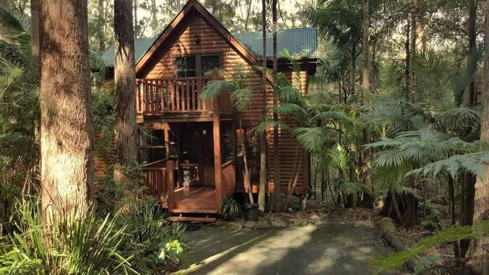 Springbrook Mountain Chalets Exterior photo