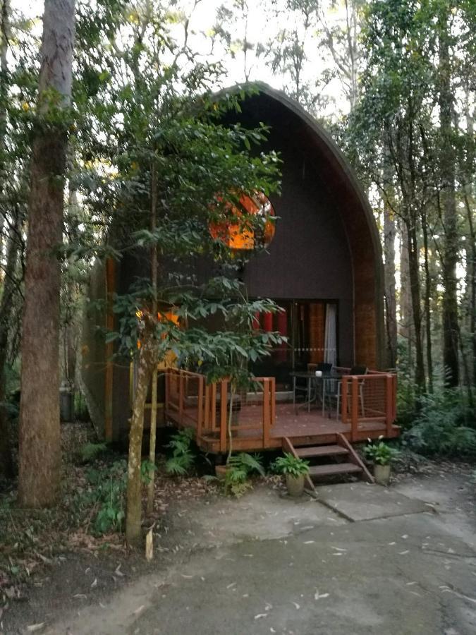 Springbrook Mountain Chalets Exterior photo