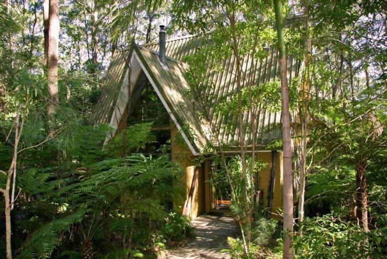 Springbrook Mountain Chalets Room photo