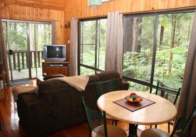 Springbrook Mountain Chalets Room photo