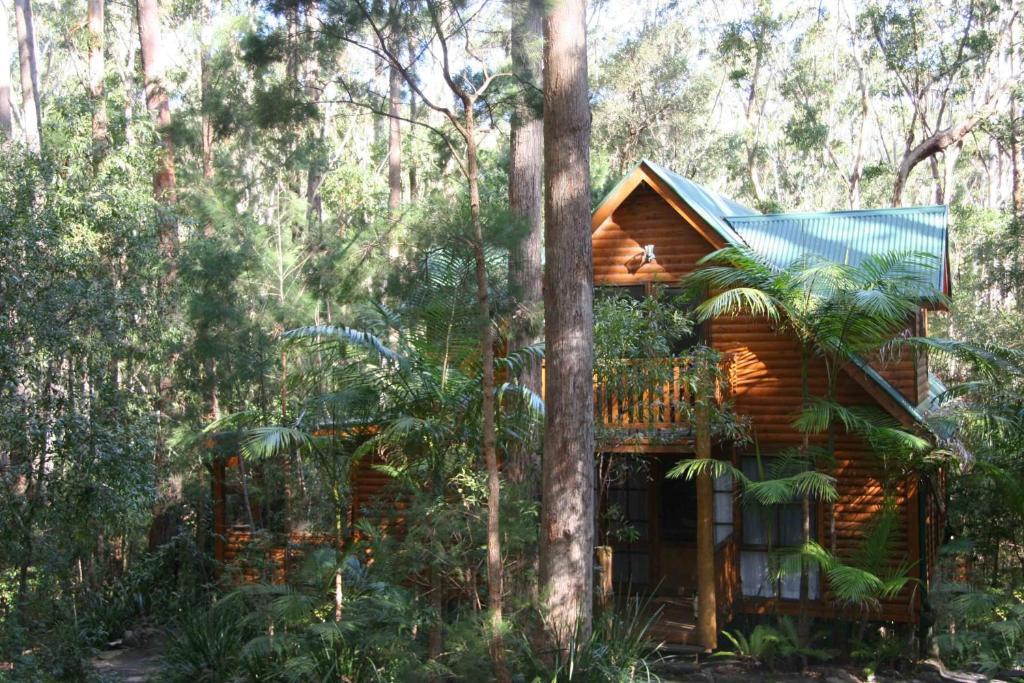 Springbrook Mountain Chalets Room photo