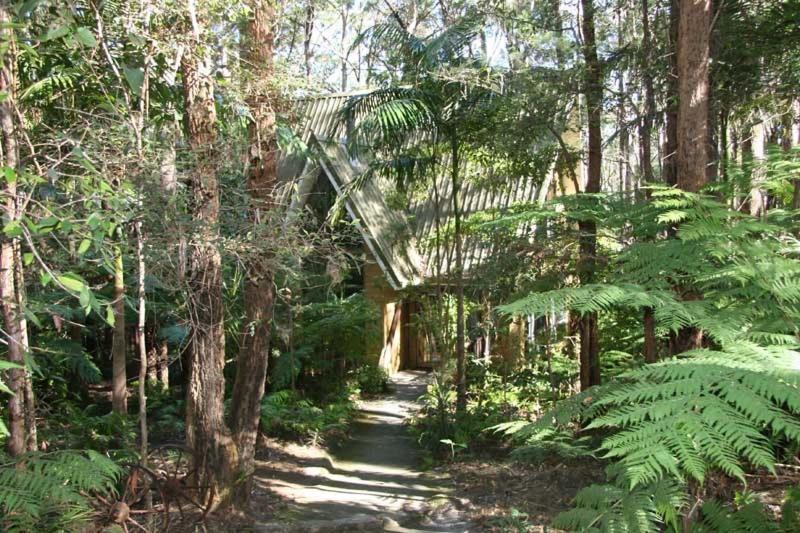 Springbrook Mountain Chalets Room photo