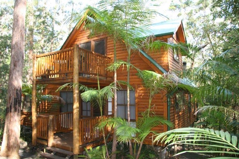 Springbrook Mountain Chalets Room photo