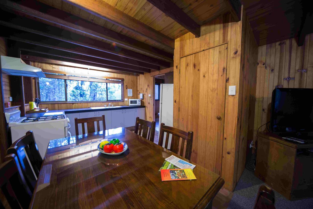 Springbrook Mountain Chalets Room photo