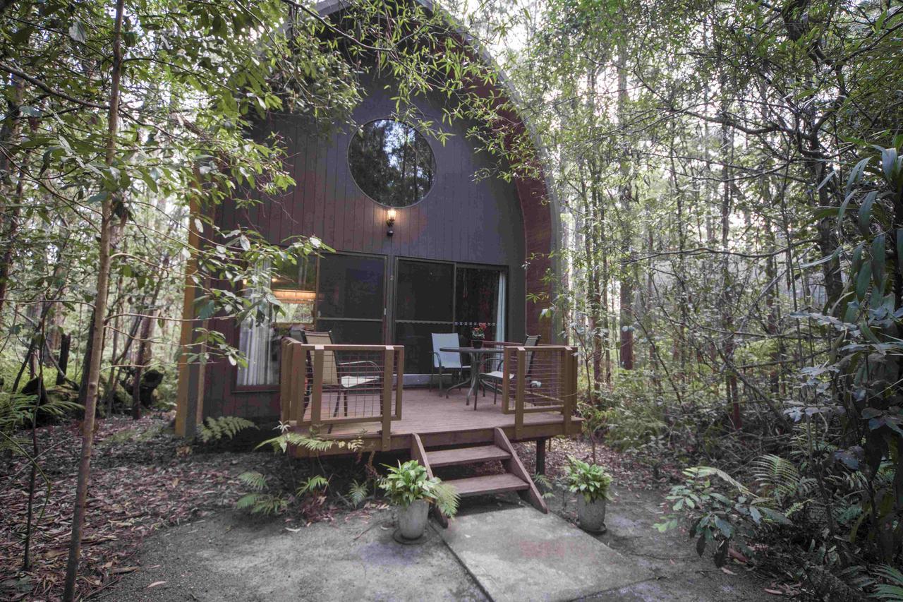 Springbrook Mountain Chalets Room photo