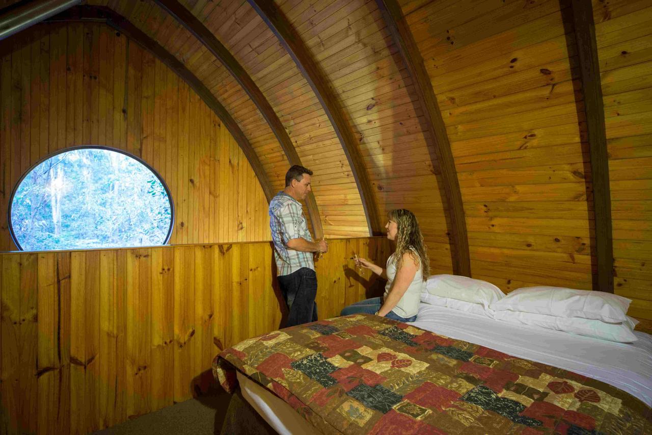 Springbrook Mountain Chalets Room photo